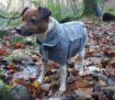 Picture of Henry Wag Drying Coat XS 35cm Grey x 1