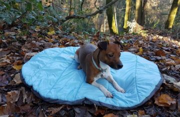 Picture of Henry Wag Alpine Travel Snuggle Bed x 1
