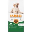 Picture of Iams Dog Large Breed Lamb 12kg