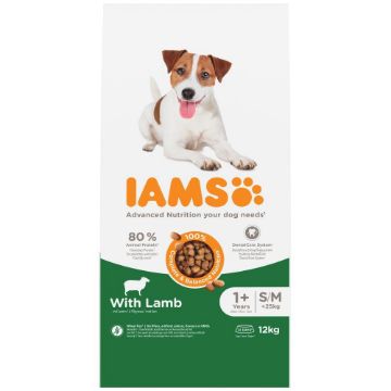 Picture of Iams Dog Small/Medium Lamb 12kg