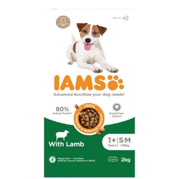 Picture of Iams Dog Small/Medium Lamb 2kg