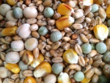 Picture of J&J Four Seasons General Economy Pigeon Food 20kg