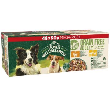 Picture of JWB Adult Dog Pouch Grain Free Turkey & Lamb 90g 48pk x 1