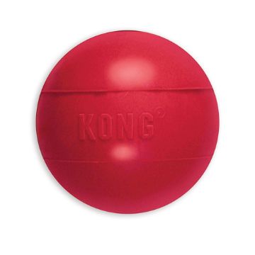 Picture of KONG Ball - Medium / Large x 1