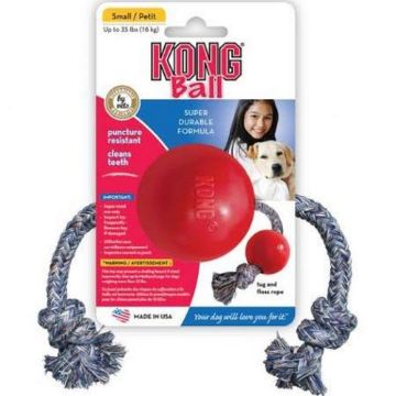 Picture of KONG Ball on Rope - Small Red x 1