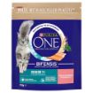 Picture of Purina One Cat Senior 7+ Salmon & Whole Grains 750g x 1