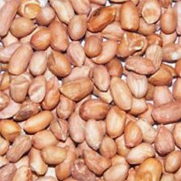Picture of Peanuts for Wild Birds 25kg