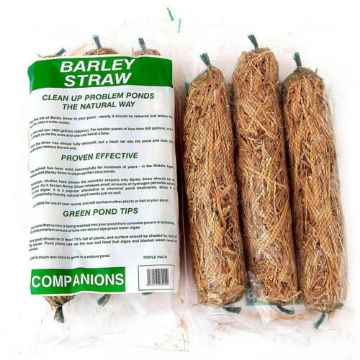 Picture of Barley Straw for Ponds 3pk x 1