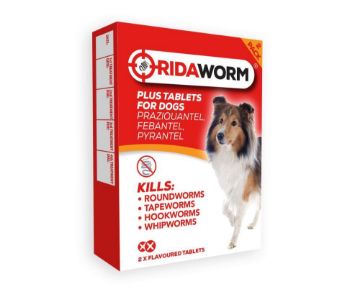 Picture of Ridaworm Tablets for Dogs x 1