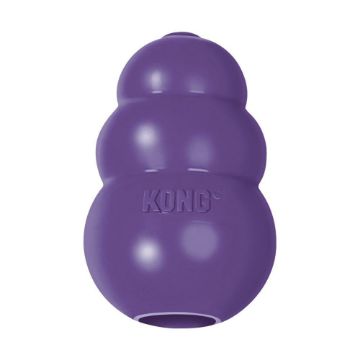 Picture of Senior KONG - Medium x 1
