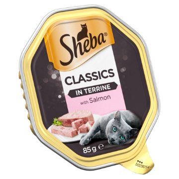 Picture of Sheba Foils - Classics Salmon in Terrine 85g x 22