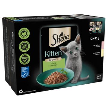 Picture of Sheba Pouch KITTEN Sauce Collection Mixed Selection Gravy 85g 12-Pack x 4