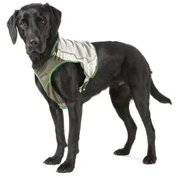 Picture of Scruffs Insect Shield Dog Vest Medium x 1