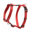 Picture of Rogz Utility Red Medium (Snake) H-Harness 12½"-20½" x 1