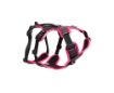 Picture of ROGZ AirTech Adventure Harness Sunshine Pink Medium x 1