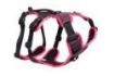 Picture of ROGZ AirTech Adventure Harness Sunshine Pink Large x 1