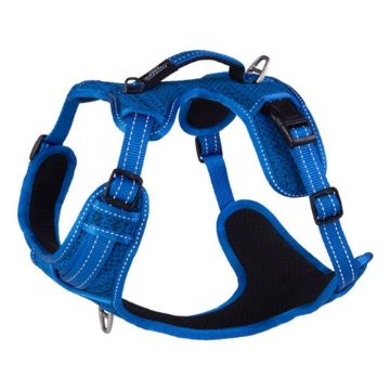 Picture of Rogz Explore Harness - XL Blue x 1