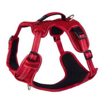 Picture of Rogz Explore Harness - XL Red x 1