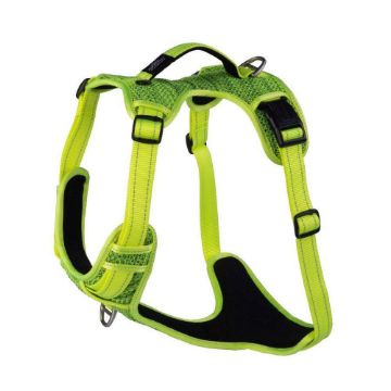 Picture of Rogz Explore Harness - XL Yellow x 1