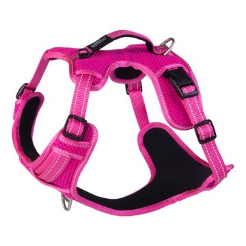 Picture of Rogz Explore Harness - XL Pink x 1