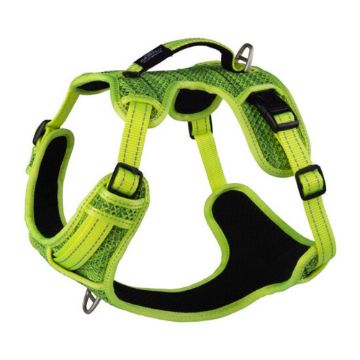Picture of Rogz Explore Harness - Large Yellow x 1