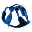 Picture of Rogz Explore Harness - Medium Blue x 1