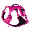 Picture of Rogz Explore Harness - Medium Pink x 1