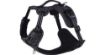Picture of Rogz Explore Harness - Small Black x 1
