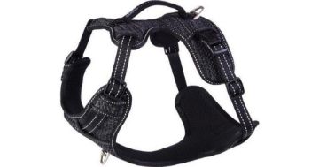 Picture of Rogz Explore Harness - Small Black x 1