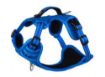 Picture of Rogz Explore Harness - Small Blue x 1