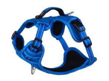 Picture of Rogz Explore Harness - Small Blue x 1