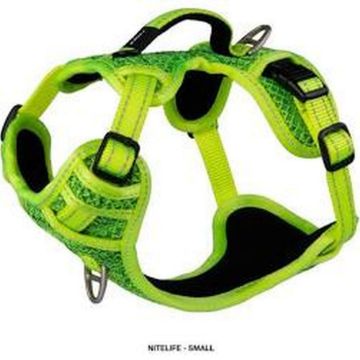 Picture of Rogz Explore Harness - Small Yellow x 1
