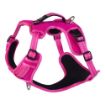 Picture of Rogz Explore Harness - Small Pink x 1