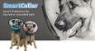 Picture of MDC Smart Collar Size 1 (Neck Size 18-24cm) x 1