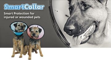 Picture of MDC Smart Collar Size 2 (Neck Size 23-30cm) x 1