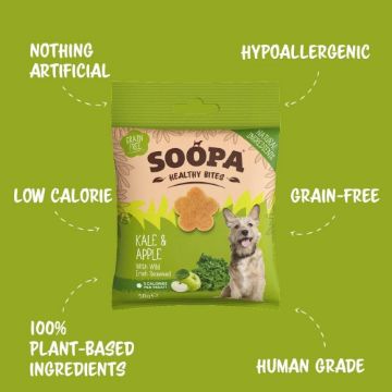 Picture of Soopa Healthy Bites - Kale & Apple 50g x 1