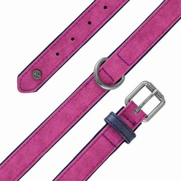 Picture of Sotnos Aquatech Brights Collar Purple X-Small x 1