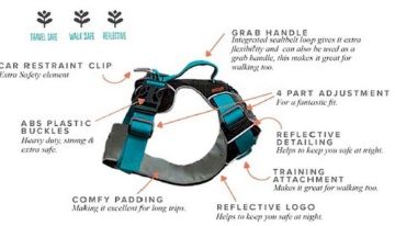 Picture of Sotnos Triple Safety Travel Harness Teal Small x 1