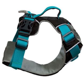 Picture of Sotnos Triple Safety Travel Harness Teal XSS x 1