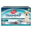 Picture of Simple Solution Training Pads Economy 100-Pack x 1