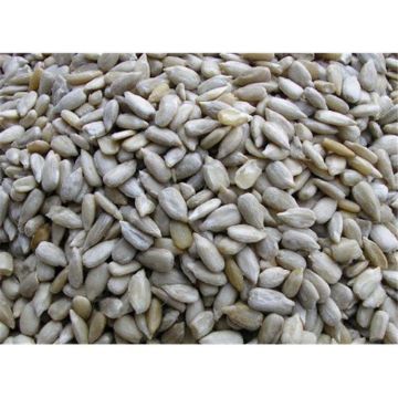 Picture of Sunflower Hearts 20kg
