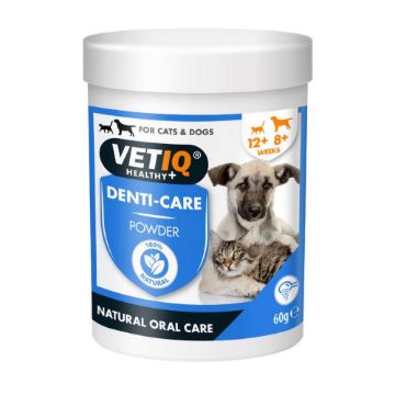 Picture of VETIQ 2 in 1 Denti-Care Granules 60g x 1