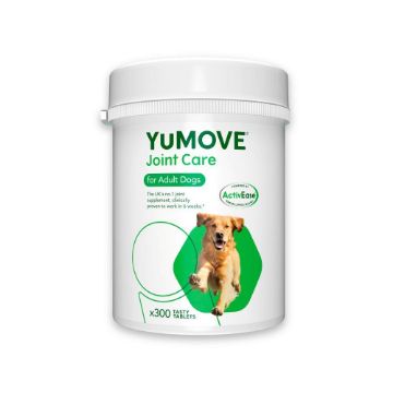 Picture of Lintbells YuMOVE Tablets 300 tab x 1