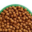 Picture of JWB Adult Dog - Turkey & Rice 7.5kg