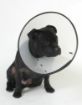 Picture of MDC Smart Collar Size 3 (Neck Size 29-38cm) x 1