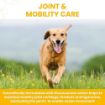 Picture of Vetzyme Flexible Joint Tablets 30 tab x 1
