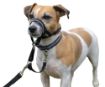 Picture of Halti Head Collar Black Size 1 x 1