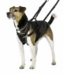 Picture of Halti No Pull Harness Small x 1