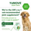 Picture of YuMOVE Joint Care for Adult Dogs 60 tab x 1