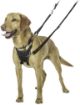 Picture of Halti No Pull Harness Large x 1